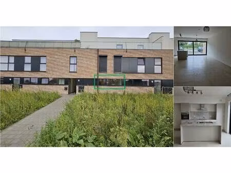 appartement à louer à rijksweg 243 dilsen-stokkem (rbv48775)