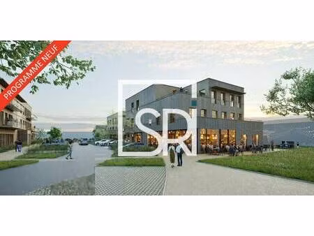 sr immobilier
