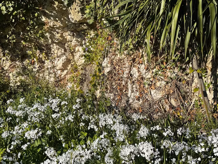terrain à bâtir - mauvezin centre