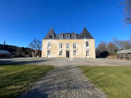 château d’exception du xixᵉ siècle – un écrin de prestige en haute-vienne