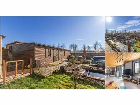 maison à vendre avec terrasse et jardin   mariembourg (vbd99682)