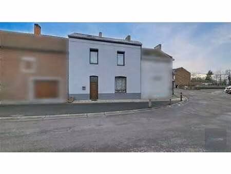 spacieuse maison avec jardin