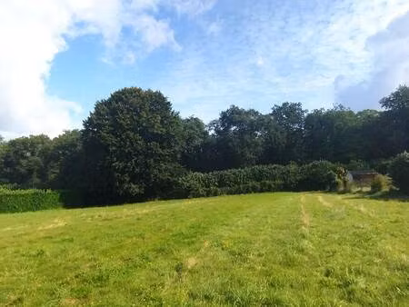 terrain constructible viabilisé à vendre