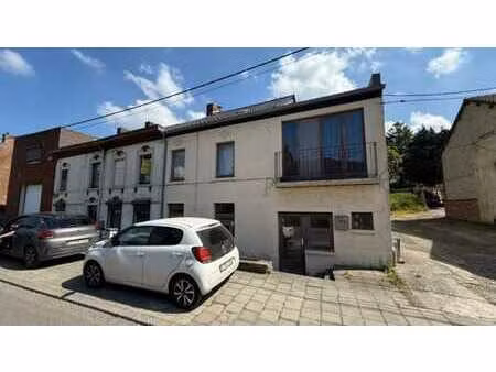 belle maison 3 façades 2 chambres