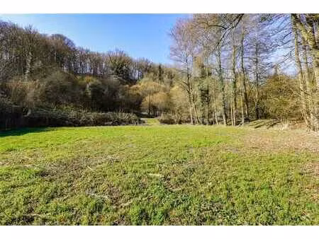 magnifique terrain plat idéalement situé - cadre verdoyant