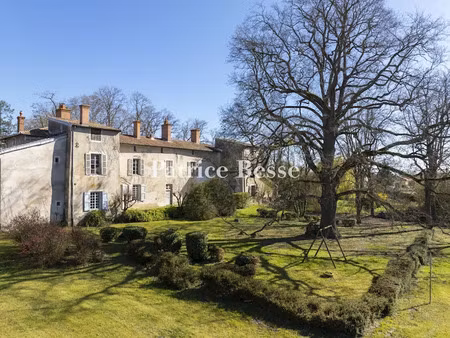 vente maison 16 pièces 540 m² à feurs (42110)  690 000 €