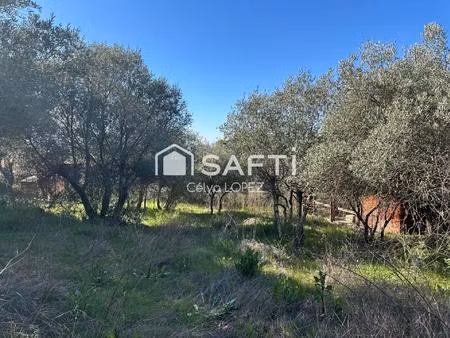 vente terrain 1352 m² pignan (34570)