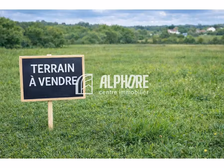vente terrain à la roche-sur-yon (85000) : à vendre / 850m² la roche-sur-yon