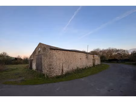 vente maison à froidfond (85300) : à vendre / 245m² froidfond