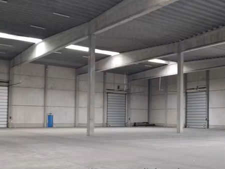 bien professionnel à louer à kapellen € 12.000 (lm7ze) - the real estate company | zimmo