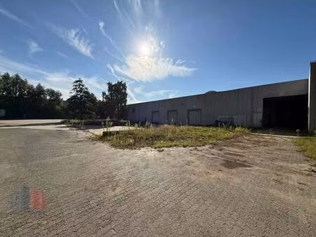 bien professionnel à louer à sint-niklaas € 18.088 (lm7ay) - panorama b2b oost-vlaanderen 