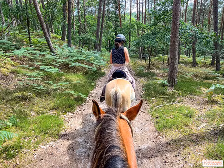 quend-plage-les-pins   parcelle de terrain à bâtir de 1150 m2 .