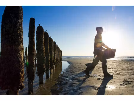 quend-plage-les-pins   parcelle de terrain à batir de 590 m2 .