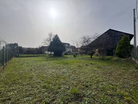 vente terrain 603 m² gundolsheim (68250)