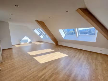 sévrier t3 dernier étage en combles lumineux et faibles