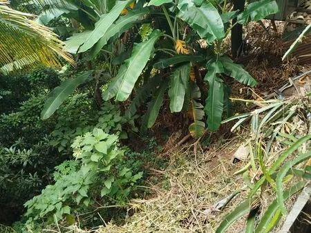 terrain de loisir moka