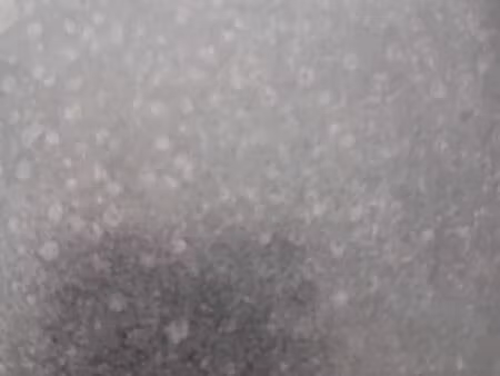 cherche location maison ?