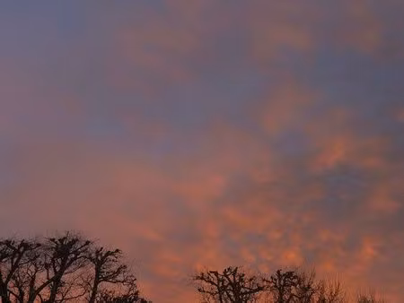 couple recherche maison