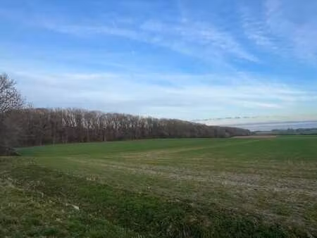 ? bois à vendre – 8 ha 59 a – opportunité rare à braine-le-