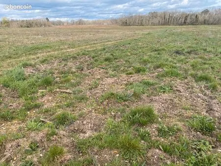 terrain 750 m² langon