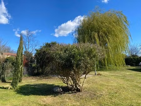 balma  toulousaine rénovée de 280 m2 sur 1600 m2 de terrain arboré