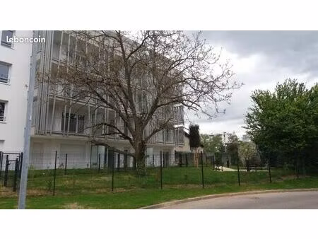 appartement 1 pièce 43 m²