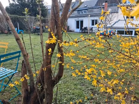 spatieuse maison triplex 180m2 avec jardin  proche centre ville