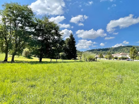 terrain plat de 500 m² à nivolas-vermelle