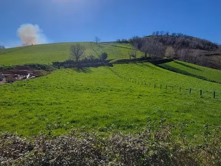 terrain constructible avec permis de construire accordé irouleguy