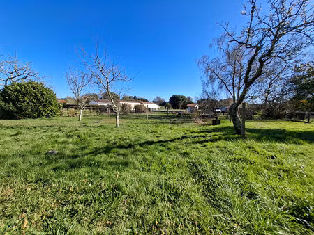 a vendre  terrain à bâtir à leon