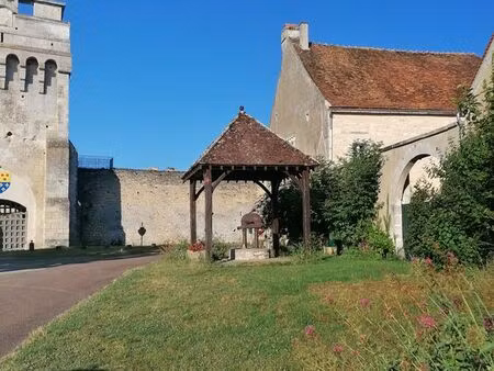propriété 2h30 paris village médiéval classé 4ème plus beau village de l'yonne jehanne d'a