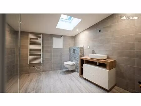 appartement + garage centre ville neuf