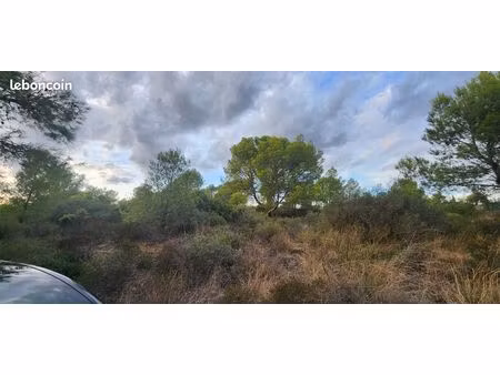 ? terrain ombragé à louer – 8000 m² – ville rouge – la crémade (fabrezan  11)