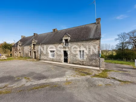 maison a vendre - lizio - grand terrain - double garage
