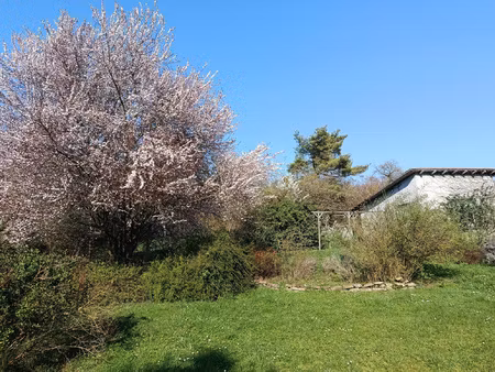 maison individuelle avec terrain