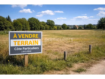 vente terrain 3896 m² à chamadelle (33230)  40 990 €