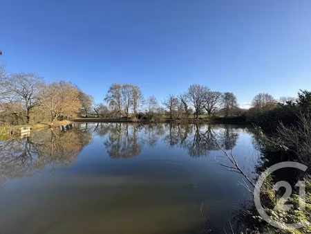 vente terrain 9180 m² à mouhers (36340)  32 000 €