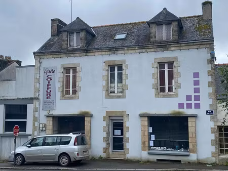 vente immeuble à elliant (29370) : à vendre / 160m² elliant
