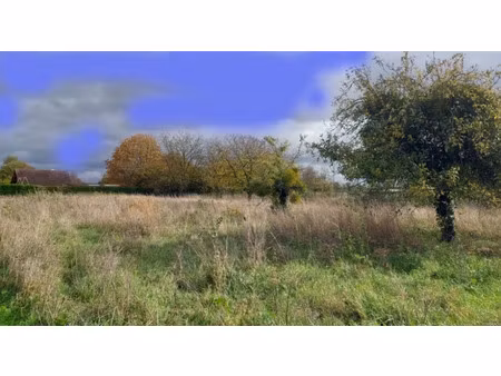 vente terrain 2043 m² à egreville (77620)  50 000 €