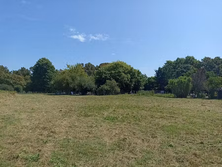 vente terrain à batir 2480 m² à saint-sever (40500)  65 000 €