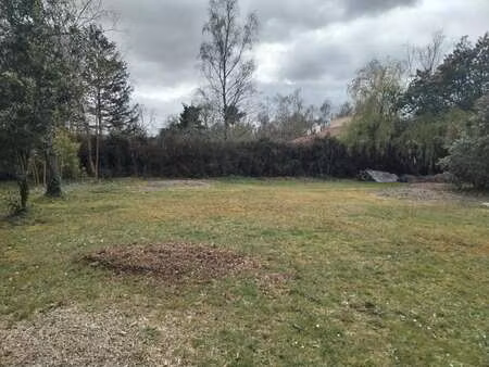vente terrain à basse-goulaine (44115) : à vendre / basse-goulaine