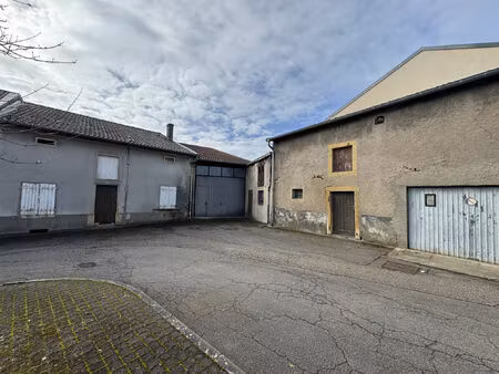 vente maison 5 pièces 330 m² argancy (57640)