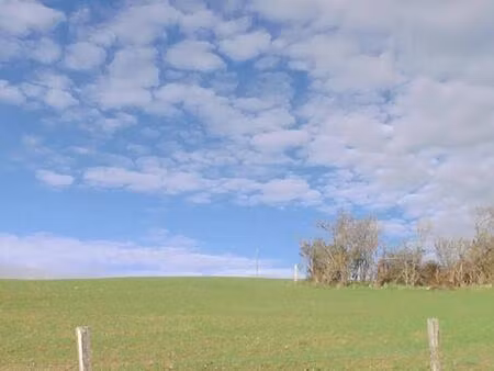 grand terrain constructible à 5 min de st bonnet le château !