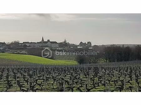 terrain 600m2 les garennes sur loire