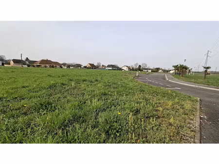 vente terrain 1078 m² à denguin (64230)  112 000 €