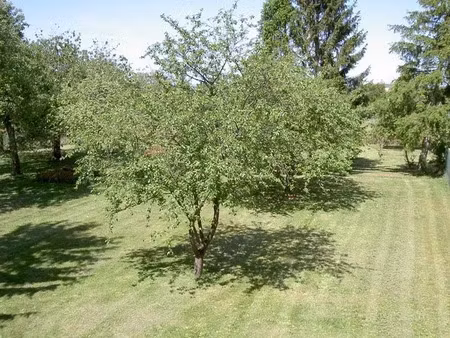 vente terrain 1705 m² à esmans (77940)  117 000 €