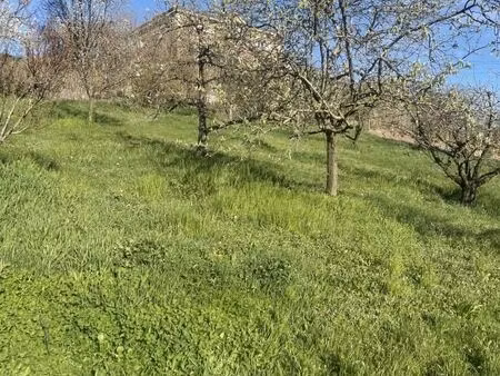 terrain 1 008 m² l arbresle