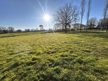 terrain saint dolay 600 m2