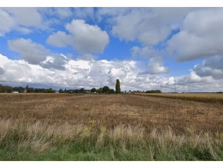 vente terrain 151 m² à la norville (91290)  95 000 €