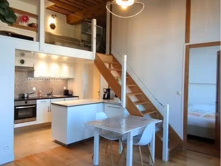 croix-rousse  canut  t2  mezzanine